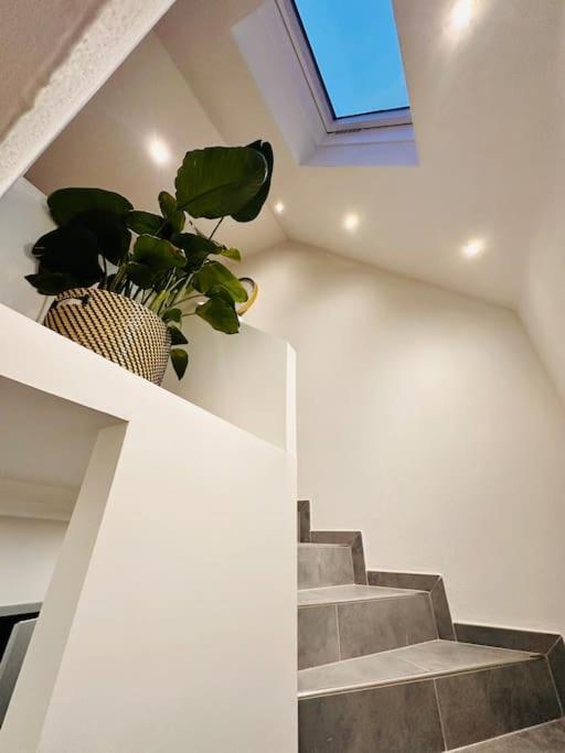 Superbe Maison A Proximite Du Centre De Strasbourg Bischheim Экстерьер фото