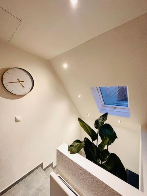 Superbe Maison A Proximite Du Centre De Strasbourg Bischheim Экстерьер фото